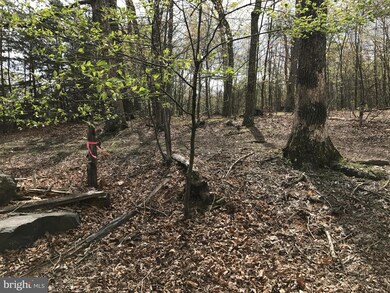 0 Roys Ln unit 1000194671, Glengary, WV 25421 - photo 4