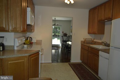 1808 Hopefield Rd, Silver Spring, MD 20905 - photo 4