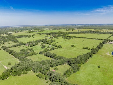 Lot 1 Cr-4064, Kemp, TX 75143 - photo 4