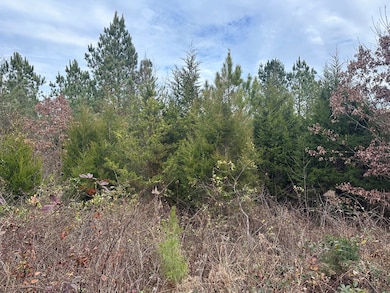 4.31 Acs Wellspring Ln, South Boston, VA 24592 - photo 6