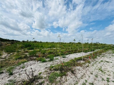 4276 2nd Rd, Labelle, FL 33935 - photo 7