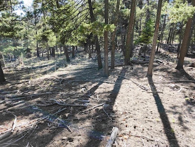 180 Big Dipper Rd unit 19, Cloudcroft, NM 88317 - photo 7