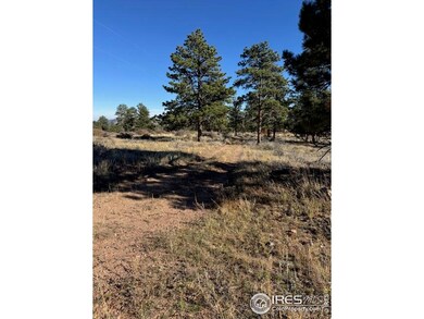 2225 Montcalm Dr, Livermore, CO 80536 - photo 5