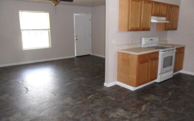 298 NW Acorn Dr, Lake City, FL 32055 - photo 4