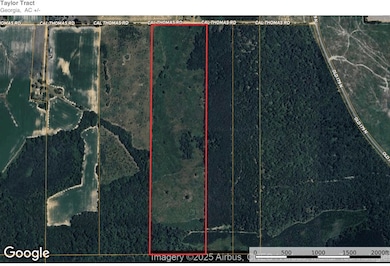 0 Cal Thomas Rd, Whigham, GA 39897 - photo 2