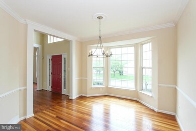 20379 Mill Pond Terrace, Germantown, MD 20876 - photo 5