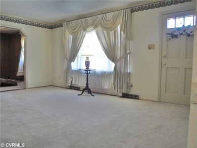 Living Room - Beautiful Carpet BUT there's also ha