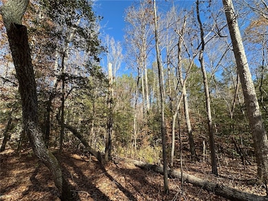 110 Watt Rogers Rd, Pelzer, SC 29669 - photo 3