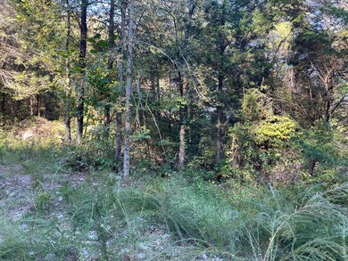 Tract 2 Cumberland Ridge Dr, Somerset, KY 42501 - photo 4