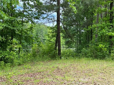 Lot 31 the Bear Blvd, Tamassee, SC 29686 - photo 5