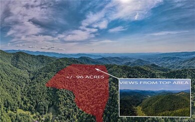 99999 Indian Creek Rd, Price Creek, NC 28714 - photo 4