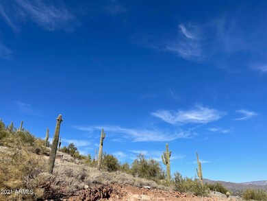 Saguaros abound!