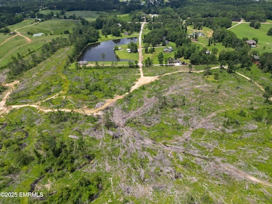 dji_fly_20250610_140756_300_174966024223