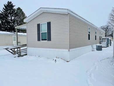 IMG-2364
