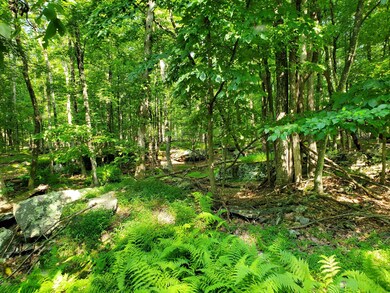 Lot 799 Tink Wig Dr, Lackawaxen Township, PA 18428 - photo 7