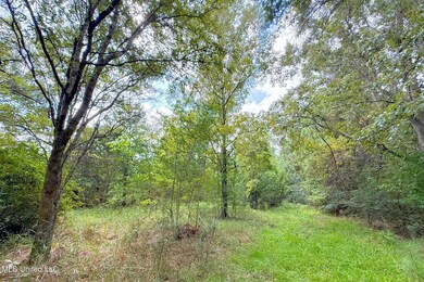 8405 Wire Rd, Ocean Springs, MS 39565 - photo 5