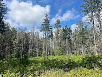 0 Maple City Hwy unit B, Lake Ann, MI 49650 - photo 2