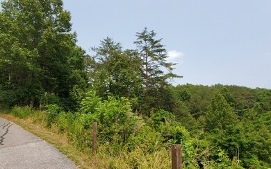 Additional View