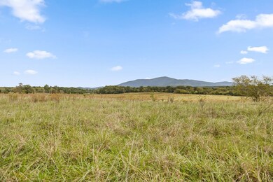 0 Georgia 286, Chatsworth, GA 30705 - photo 5