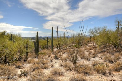 0000 N Camino Kino unit 253, Catalina Foothills, AZ 85718 - photo 5