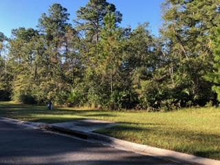 79 Foxcreek Trail, Brunswick, GA 31523 - photo 2