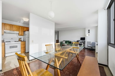 Harper Square Cooperative unit 1403, Chicago, IL 60615 - photo 5