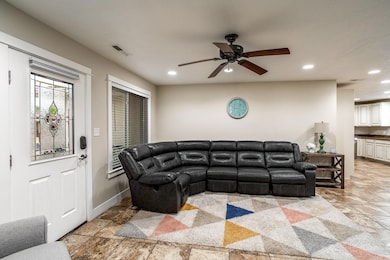 Living Room Windows