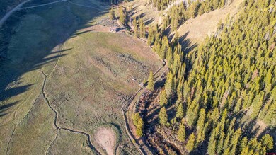 158 Clark Way, Crested Butte, CO 81224 - photo 7