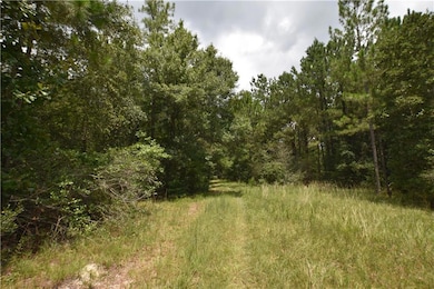 75116 Highway 41 Hwy, Talisheek, LA 70464 - photo 2