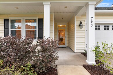203 Sugarberry Ln, Moncks Corner, SC 29461 - photo 3