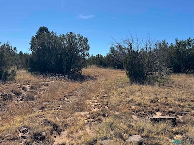 158.81 ac Off Cr B27a Rd, Bernal, NM 87569 - photo 2