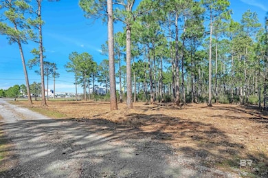0 Canal Rd unit 2 375587, Orange Beach, AL 36561 - photo 3