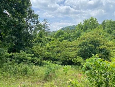 000 Taylor Ln unit 4,5,7,8,9,10,11,12,1, Burnsville, NC 28714 - photo 7