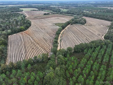 2833 Omussee Rd, Dothan, AL 36303 - photo 2