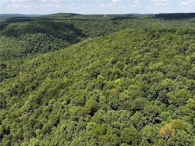 TBD 8872, Deer, AR 72628 - photo 2