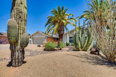 Beautiful desert front