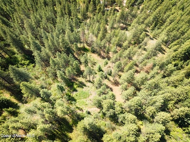 DJI_20250604140156_0038_D