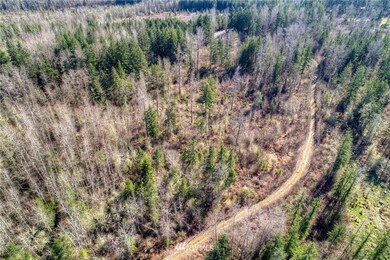 unlisted-address, Roy, WA 98580 - photo 5