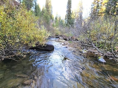 Financing Miningclaim Ownership, Idaho City, ID 83631 - photo 3