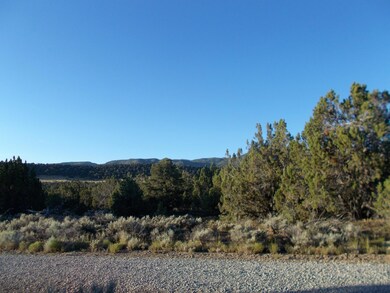 3000 Comstock Rd unit W1/2SW1/4SW1/4 SEC 3, Cedar City, UT 84720 - photo 6