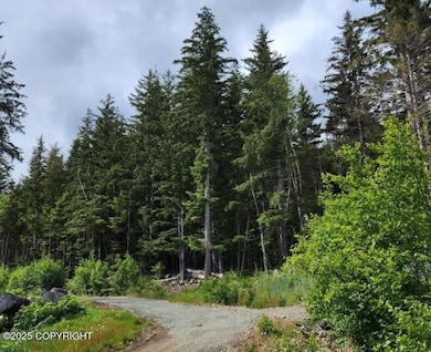 Lot 7 Barnett St W, Haines, AK 99827 - photo 6