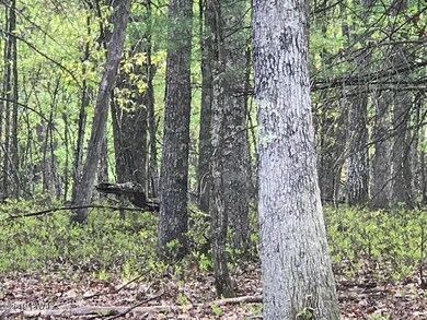 0 Barberry Lane & Apple Dr unit PWB192057, Milford, PA 18337 - photo 7