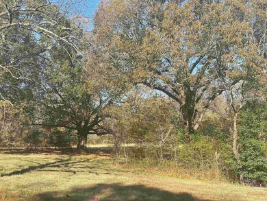 0 Shiloh, Paragould, AR 72450 - photo 3