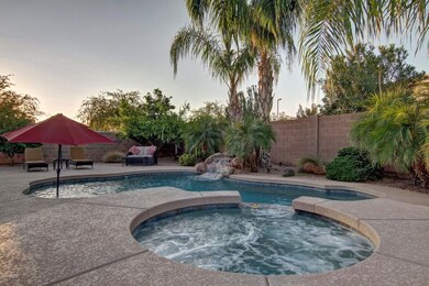 Backyard Oasis