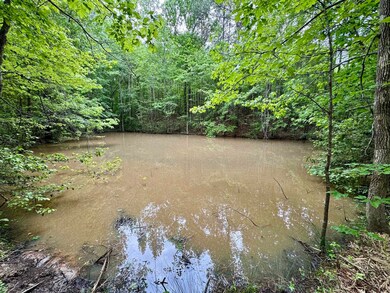 0 Silerton Rd, Toone, TN 38381 - photo 5