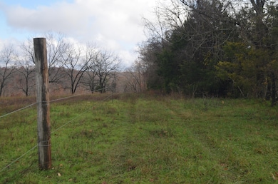 000 Logan Ridge Rd, Ozark, MO 65721 - photo 3