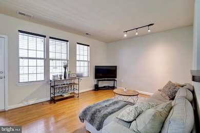 22607 Blue Elder Terrace unit 201, Ashburn, VA 20148 - photo 7