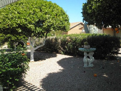 REAR YARD