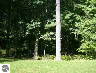 00 E 8th St, Au Gres, MI 48703 - photo 4