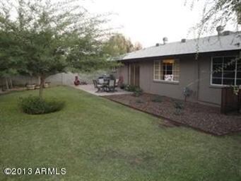 back yard